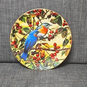 Portraits of Exquisite Birds The Beautiful Bluebird